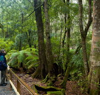 Monga National Park - Kalgoorlie Accommodation