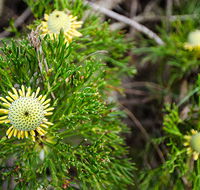Illawarra lookout walking track - Kalgoorlie Accommodation