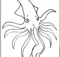 Squid Studio