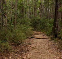 Pigeon House Mountain Didthul walking track - Kalgoorlie Accommodation