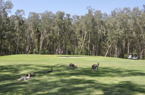 Emerald Downs Golf Course - Kalgoorlie Accommodation 4