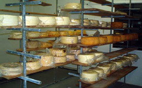 Harvey Cheese - Kalgoorlie Accommodation 0