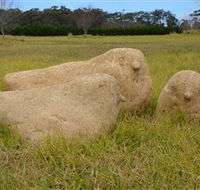 Unreal Rocks Statue Gallery - Kalgoorlie Accommodation