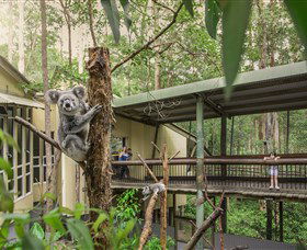 Daisy Hill Koala Centre - Kalgoorlie Accommodation 0