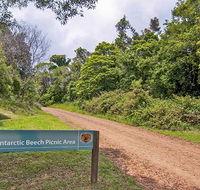 Antarctic Beech picnic area - Kalgoorlie Accommodation