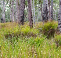 Narrawallee Inlet walking track - Kalgoorlie Accommodation