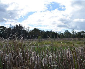 Jabiru Geenbeebeinga Wetlands - Kalgoorlie Accommodation 1