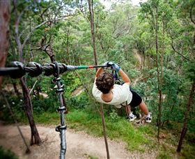 TreeTop Challenge - Kalgoorlie Accommodation 0