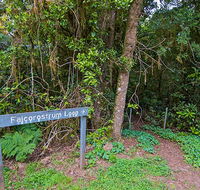 Falcorostrum loop walking track - Kalgoorlie Accommodation
