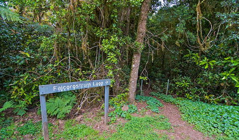 Falcorostrum Loop Walking Track - Kalgoorlie Accommodation 0