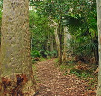 Depot Beach Rainforest walk - Kalgoorlie Accommodation