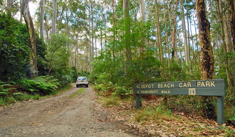 Depot Beach Rainforest Walk - Kalgoorlie Accommodation 1