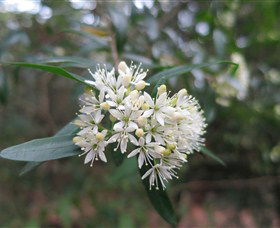 Booderee National Park Botanic Gardens - Kalgoorlie Accommodation 1