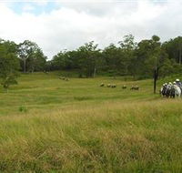 Numinbah Valley Adventure Trails - Kalgoorlie Accommodation