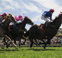 Moruya Racecourse