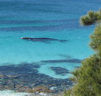Jervis Bay Marine Park - Kalgoorlie Accommodation