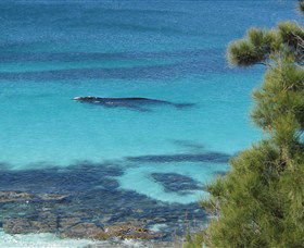 Jervis Bay Marine Park - Kalgoorlie Accommodation 0