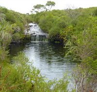 Booderee National Park Green Patch and Telegraph Creek Walking Tracks - Kalgoorlie Accommodation