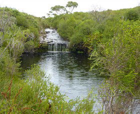 Booderee National Park: Green Patch And Telegraph Creek Walking Tracks - Kalgoorlie Accommodation 0
