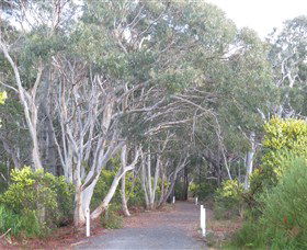 Booderee National Park: Munyunga Waraga Dhugan Walking Trail - Kalgoorlie Accommodation 3