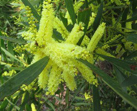 Booderee National Park: Munyunga Waraga Dhugan Walking Trail - Kalgoorlie Accommodation 1