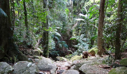 Wollumbin National Park - Kalgoorlie Accommodation 2