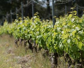 Barton Jones Wines - Kalgoorlie Accommodation 2