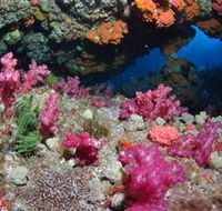Cherubs Cave Dive Site - Kalgoorlie Accommodation
