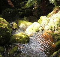 South East Forests National Park - Kalgoorlie Accommodation