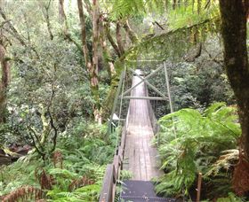 Bemm River Scenic Reserve - Kalgoorlie Accommodation 0