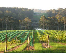 Bellbird Scenic Drive Tilba - Kalgoorlie Accommodation 3