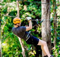 TreeTop Challenge Currumbin