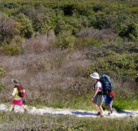 Yuraygir coastal walk - Kalgoorlie Accommodation