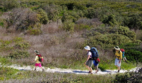 Yuraygir Coastal Walk - Kalgoorlie Accommodation 0