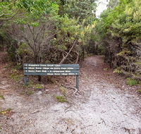 Angophora grove walking track - Kalgoorlie Accommodation