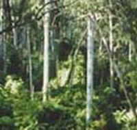 Lind National Park - Kalgoorlie Accommodation