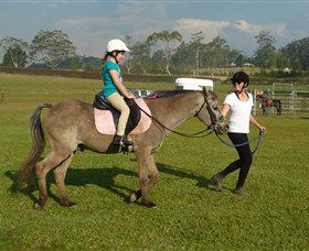 Port Macquarie Horse Riding Centre - Kalgoorlie Accommodation 0
