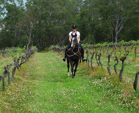 Port Macquarie Horse Riding Centre - Kalgoorlie Accommodation 1