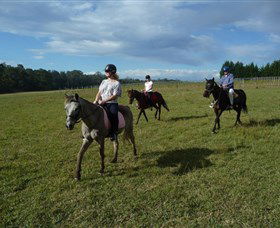 Port Macquarie Horse Riding Centre - Kalgoorlie Accommodation 5