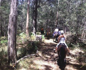 Port Macquarie Horse Riding Centre - Kalgoorlie Accommodation 4