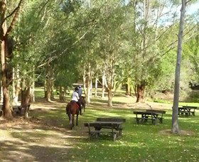 Port Macquarie Horse Riding Centre - Kalgoorlie Accommodation 6