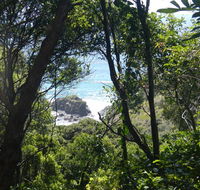Rainforest walking track - Kalgoorlie Accommodation