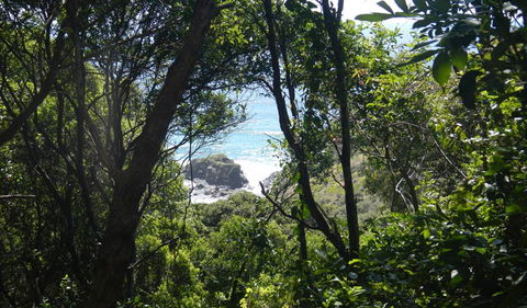 Rainforest Walking Track - Kalgoorlie Accommodation 0