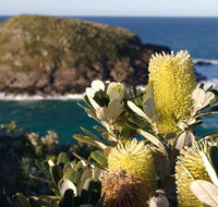 Green Island walking track - Kalgoorlie Accommodation
