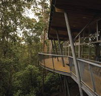 Tarkine Forest Adventures - Dismal Swamp - Kalgoorlie Accommodation