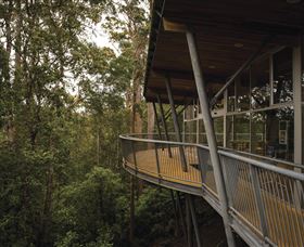 Tarkine Forest Adventures - Dismal Swamp - Kalgoorlie Accommodation 0
