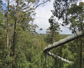 Tarkine Forest Adventures - Dismal Swamp - Kalgoorlie Accommodation 1