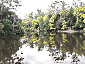 Arthur River TAS Kalgoorlie Accommodation
