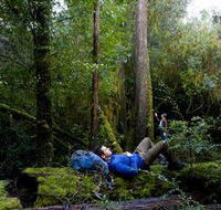 The Tarkine Drive - Kalgoorlie Accommodation