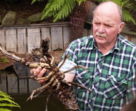 Flowerdale TAS Kalgoorlie Accommodation